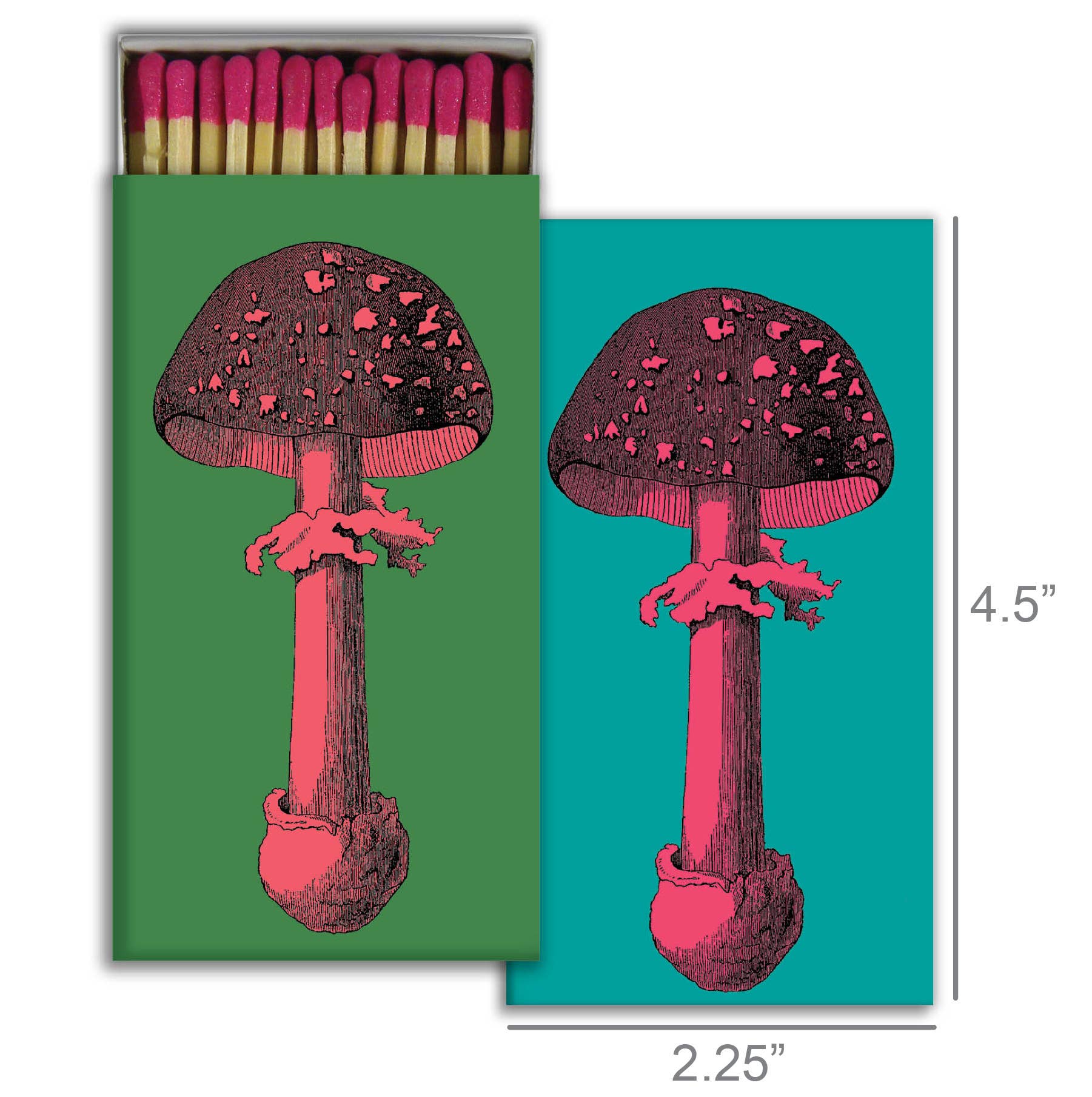 Matchbox featuring a pink and black mushroom illustration on green and teal backgrounds.