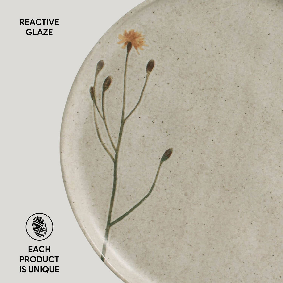 Bio Stoneware Campestre Dinner Plate, 10.8"