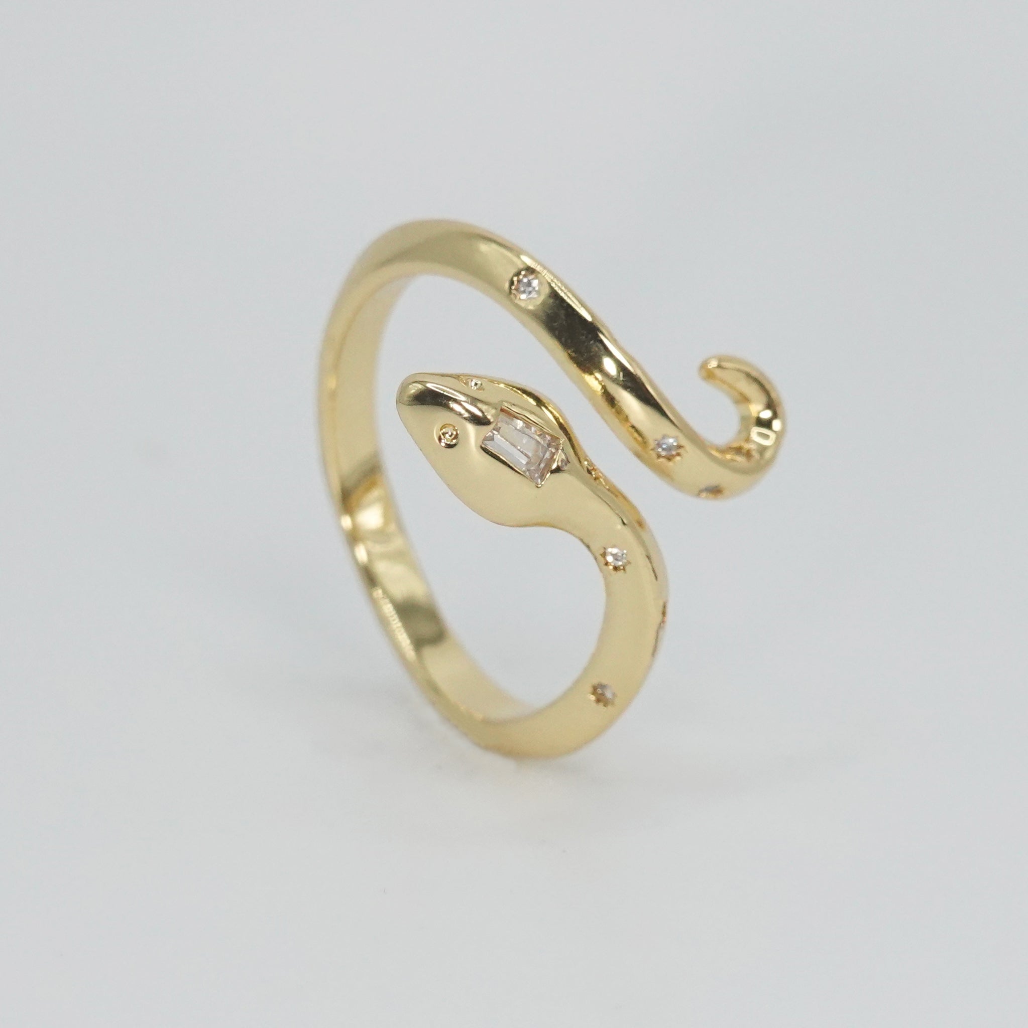 Sterling silver Bonnell Ring, sleek snake-inspired design, a symbol of power and grace.