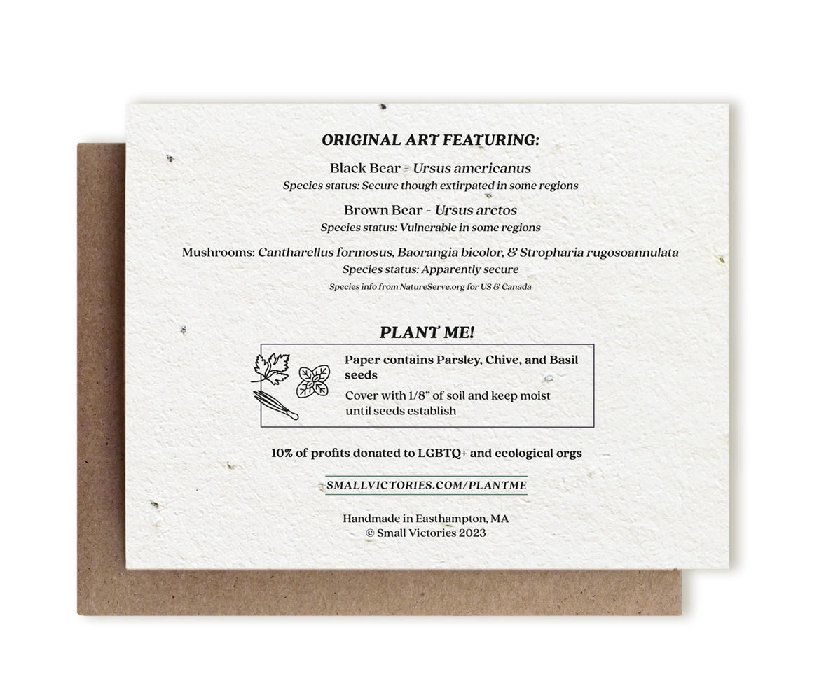 Enchanting Bears and Mushrooms illustrated card, embedded with herb seeds, ready for planting.