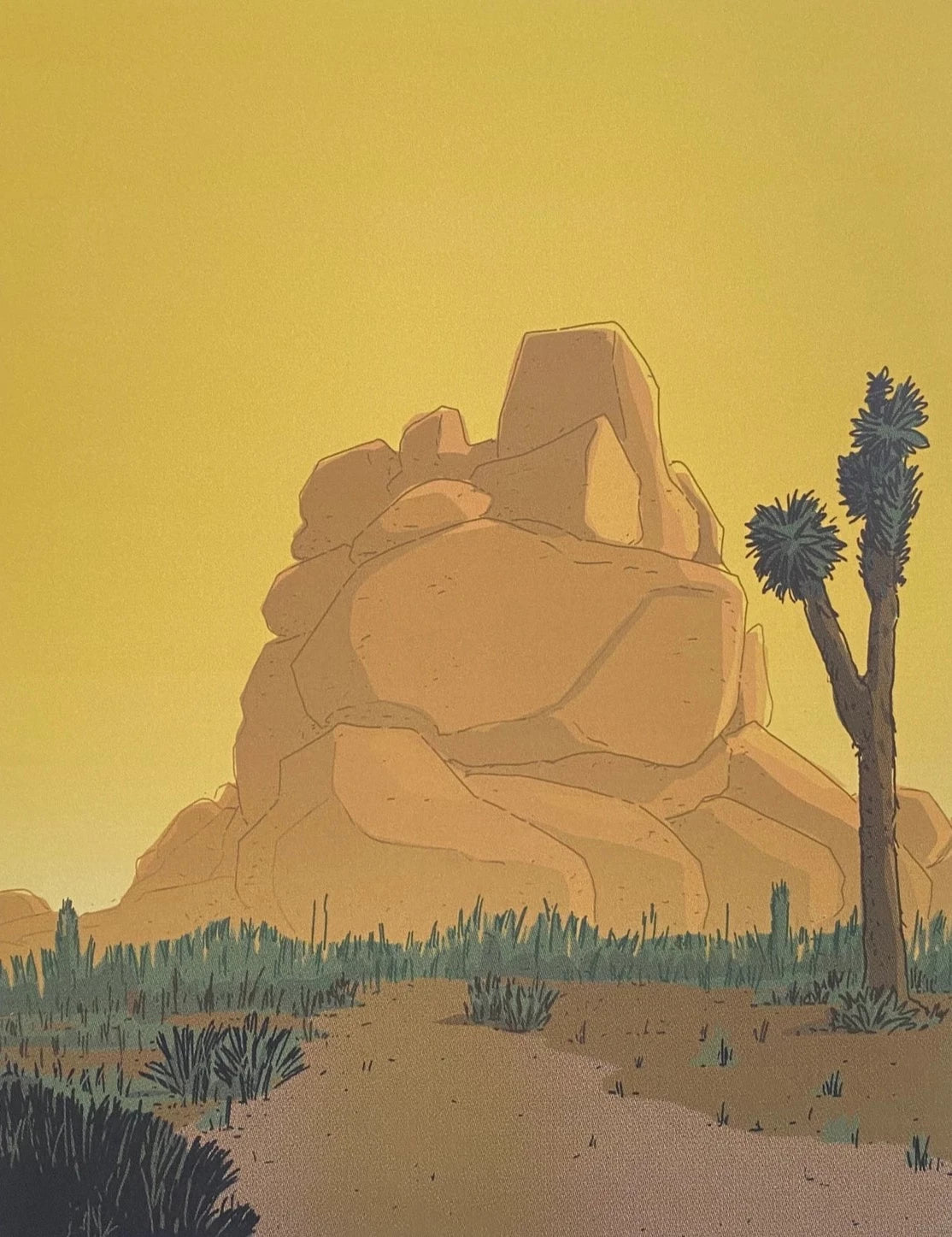 Joshua Tree Rock Print - Nature-inspired wall art showcasing the enduring beauty of the desert landscape.