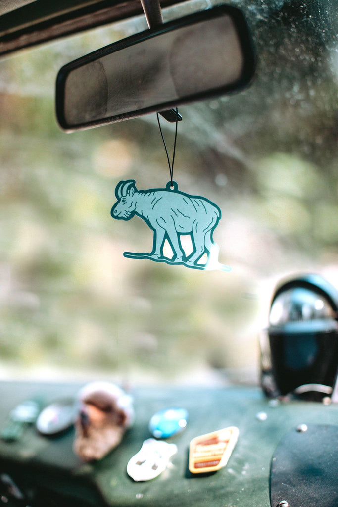 The Glacier Air Freshener with a cool, fresh scent.
