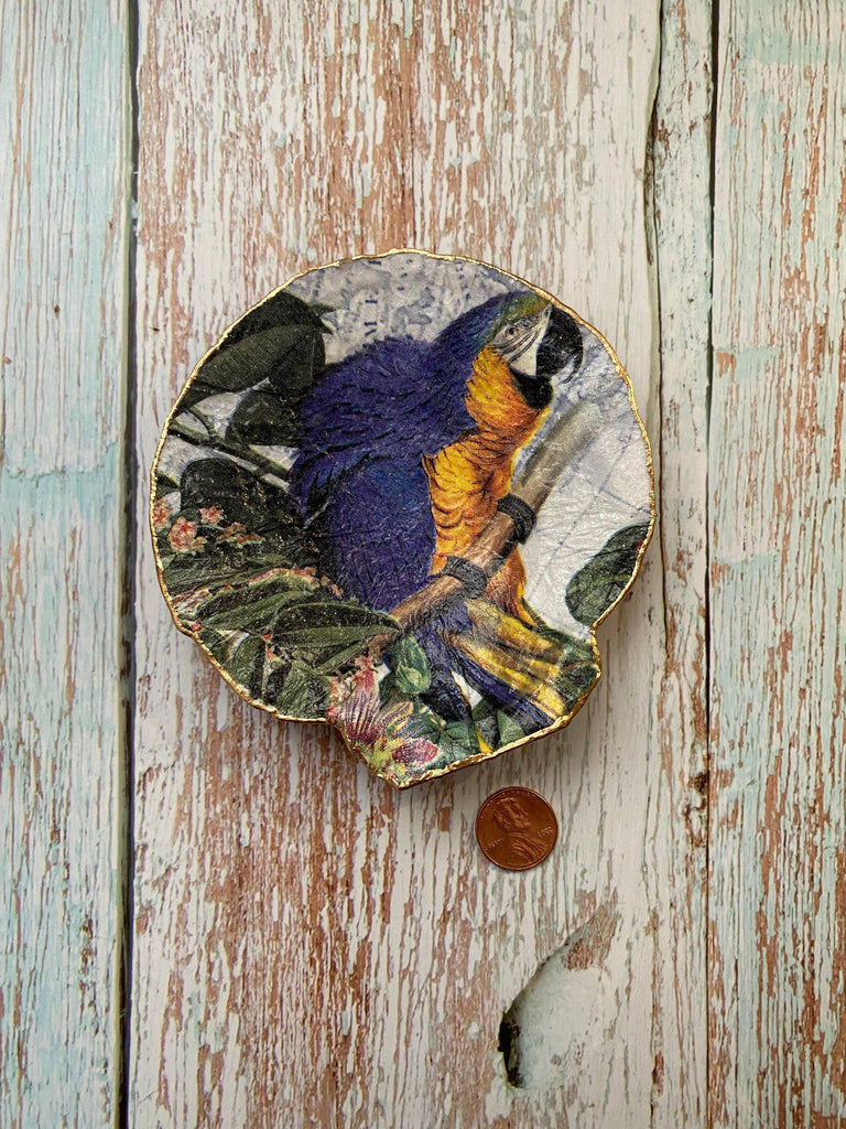A Parrot Shell, expertly crafted and hand-painted with vibrant colors, symbolizing the beauty and expressiveness of the tropical parrot.