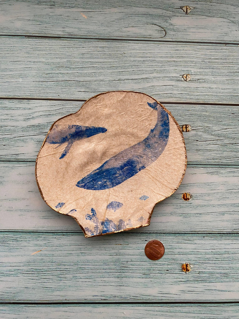 A Whale Shell, beautifully crafted to embody the gentle giant of the sea.