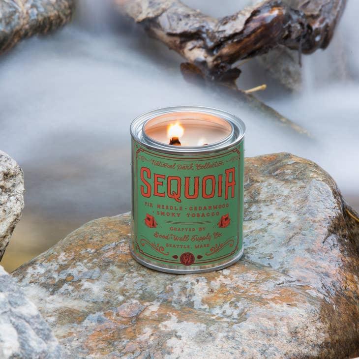 Sequoia Soy Candle in sustainable packaging, diffusing a deep, woodsy scent reminiscent of the ancient sequoia forest.