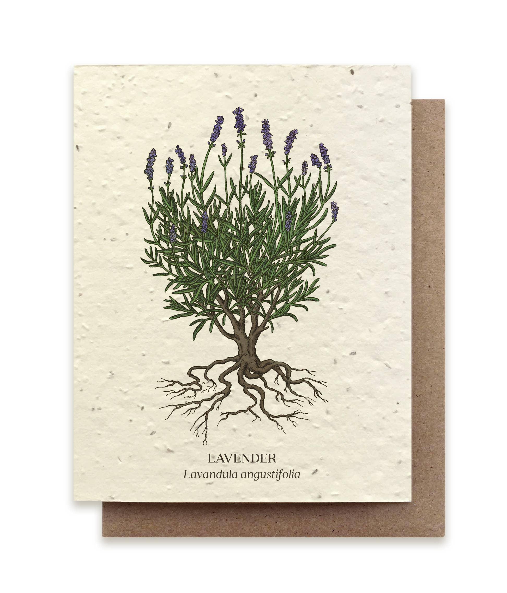 avender Plantable Wildflower Seed Card, a biodegradable card infused with wildflower seeds, blossoming into a garden of fragrant lavender when planted.