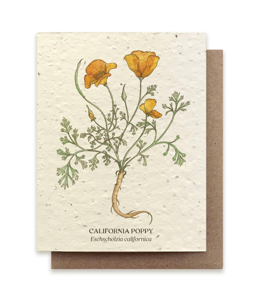 California Poppy Plantable Wildflower Seed Card, a biodegradable card infused with poppy seeds, blossoming into vibrant poppies when planted.