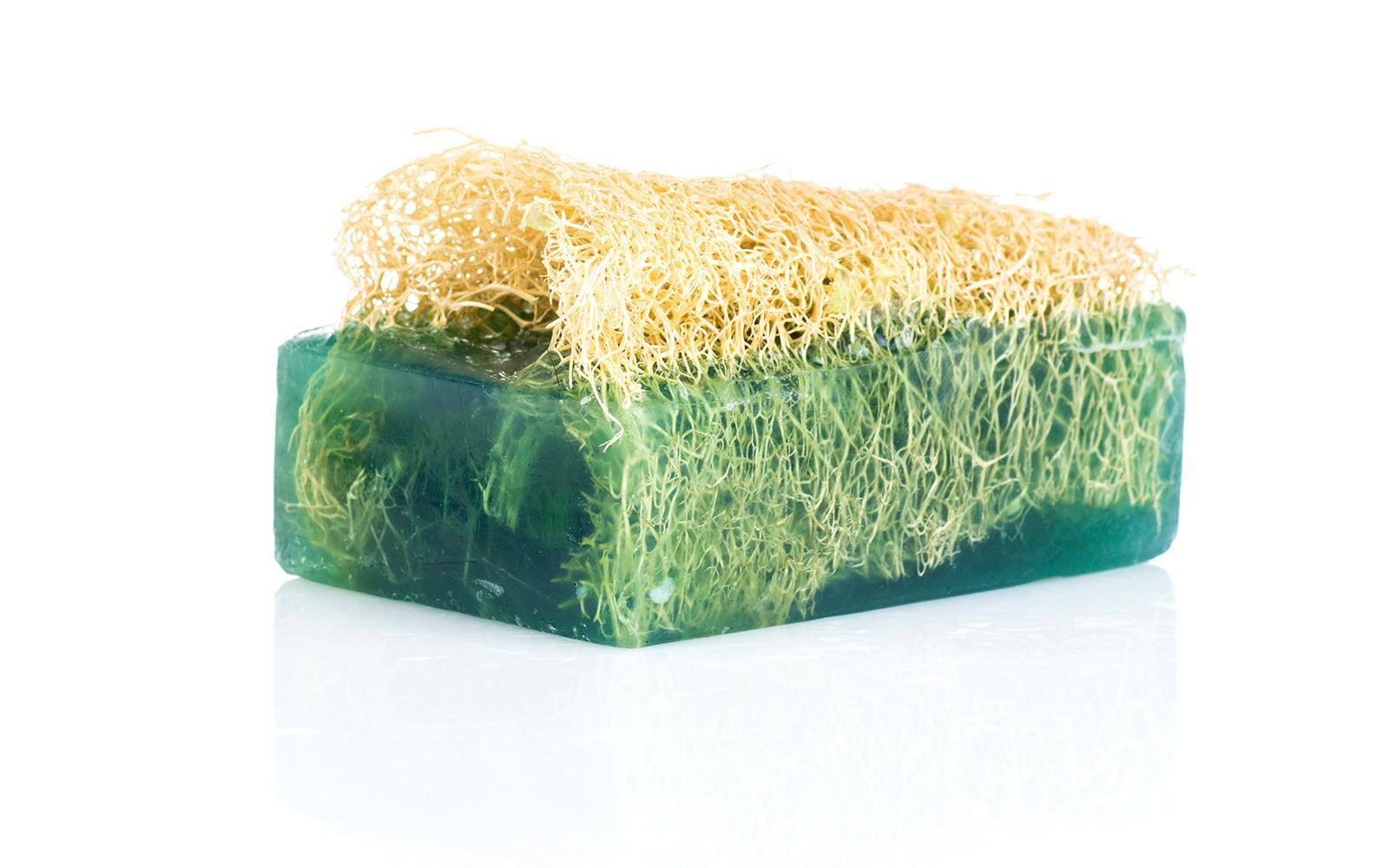Aloe Vera Much Soap, a lush green bar promising gentle, moisturizing skin care.