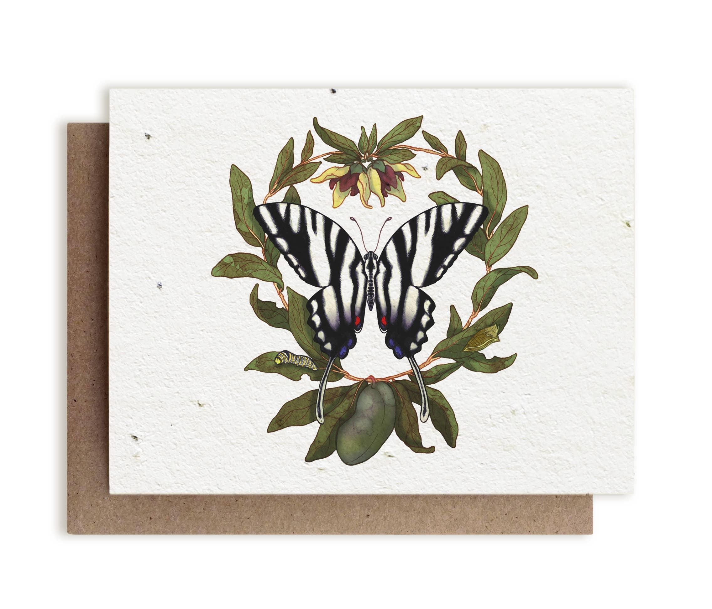 Butterfly & PawPaw Plantable Herb Card, a biodegradable card infused with herb seeds that grows into a lush herb garden when planted.