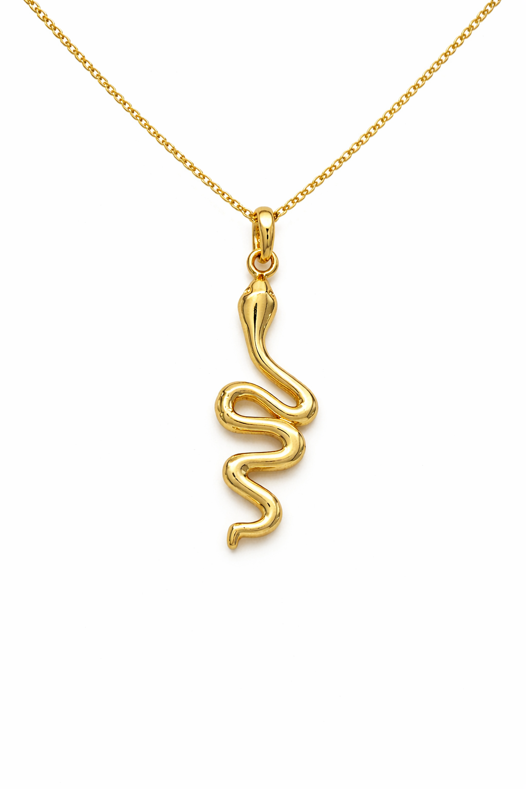 Spiral Snake Necklace
