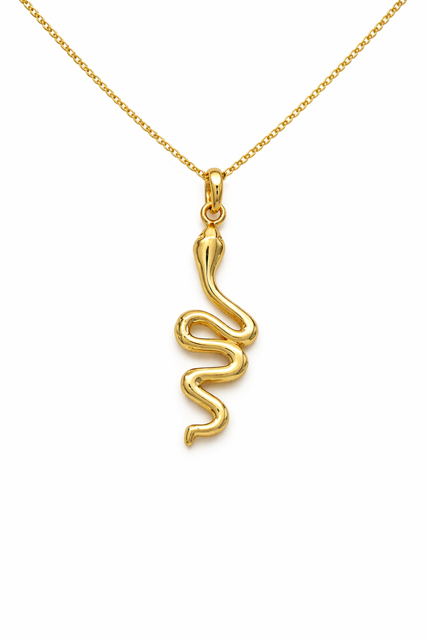 Spiral Snake Necklace