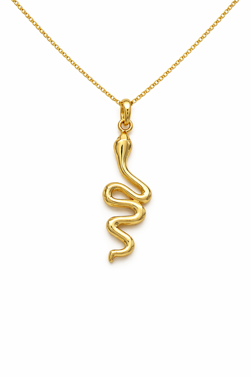 Spiral Snake Necklace