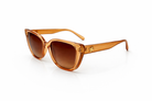 Brown sunglasses with a white background