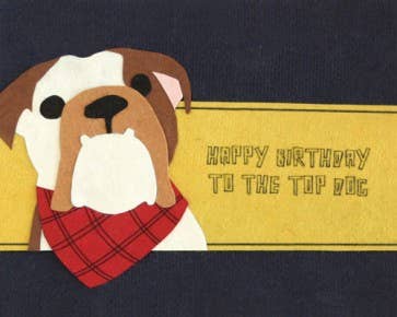 Cartoon bulldog with a red plaid scarf on a blue background with text 'Happy Birthday to the top dog'.