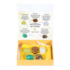 Gemini zodiac gemstone set with Lemon Quartz, Tiger’s Eye, Moonstone, Amazonite, and Smokey Quartz, displayed in a yellow pouch and decorative box.