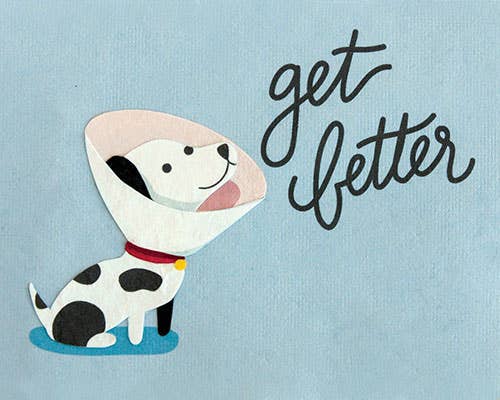 Cartoon dog in a cone with 'get better' text on a light blue background