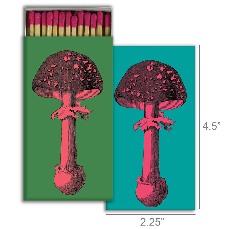 Matchbox featuring a pink and black mushroom illustration on green and teal backgrounds.