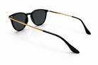 Black sunglasses with gold frames on a white background