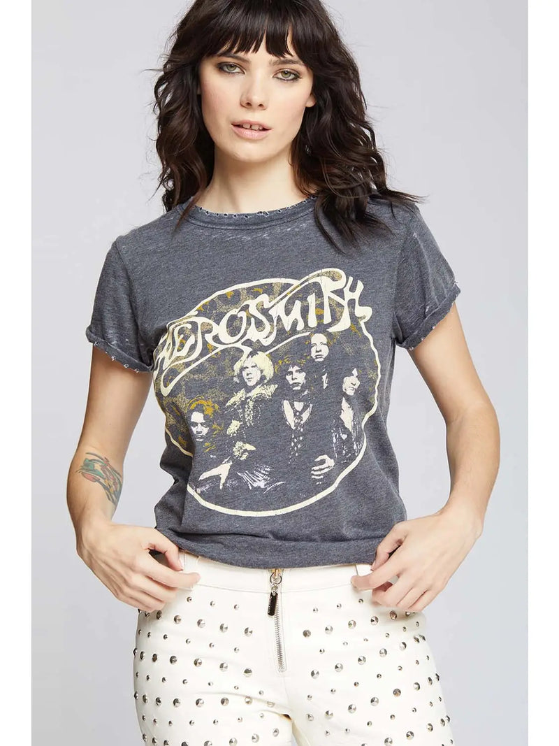 Aerosmith "Back In The Saddle" Burnout Tee - Vintage burnout design with iconic graphics. Perfect for rock enthusiasts. Elevate your style with this homage to the legendary band.
