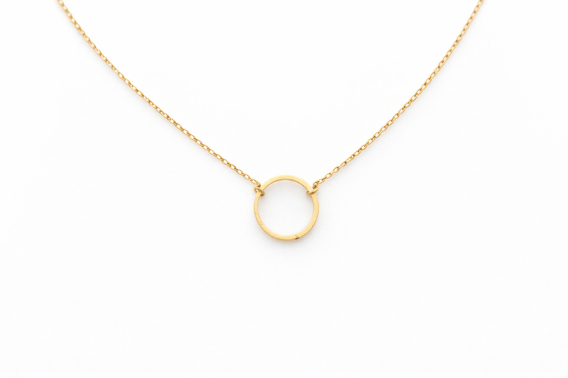 Vera Everyday Hoop Necklace
