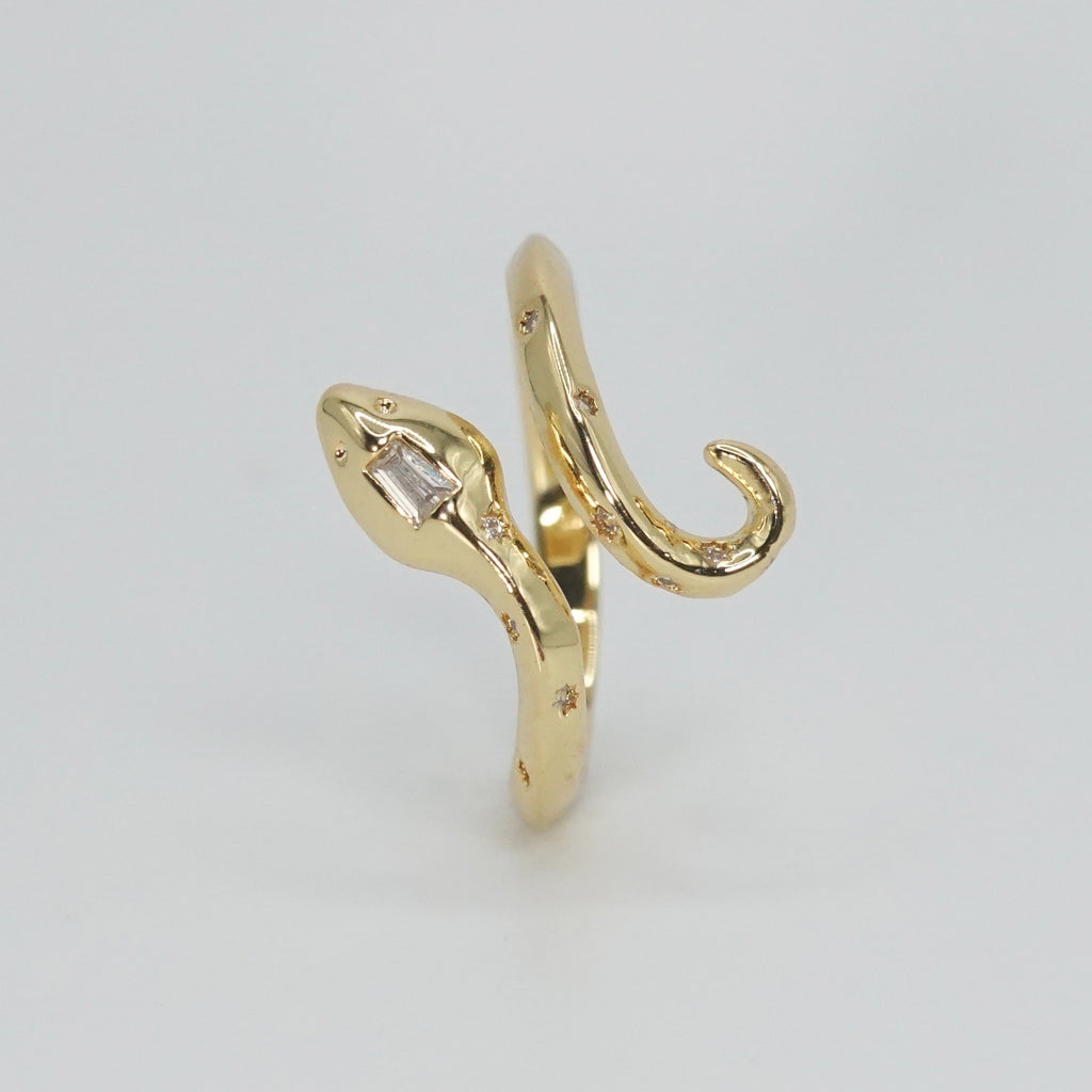 Sterling silver Bonnell Ring, sleek snake-inspired design, a symbol of power and grace.