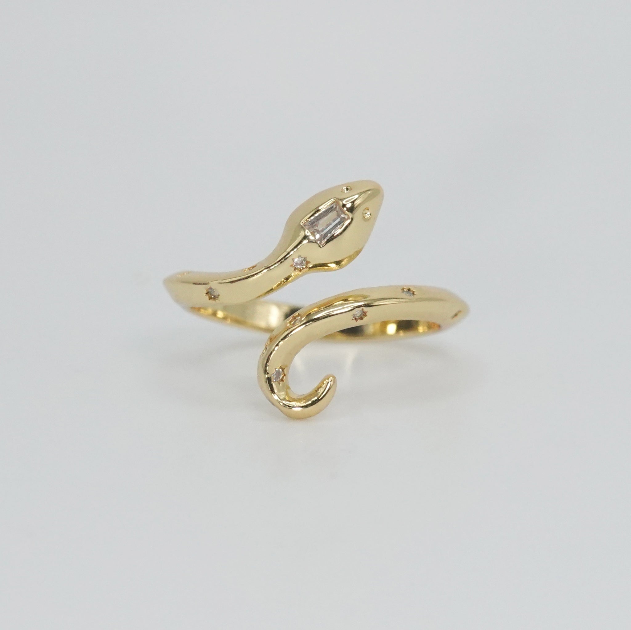 Sterling silver Bonnell Ring, sleek snake-inspired design, a symbol of power and grace.