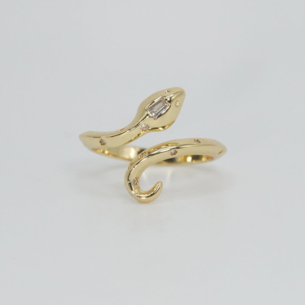 Sterling silver Bonnell Ring, sleek snake-inspired design, a symbol of power and grace.