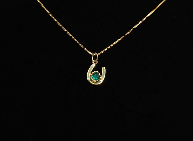 Horseshoe Necklace
