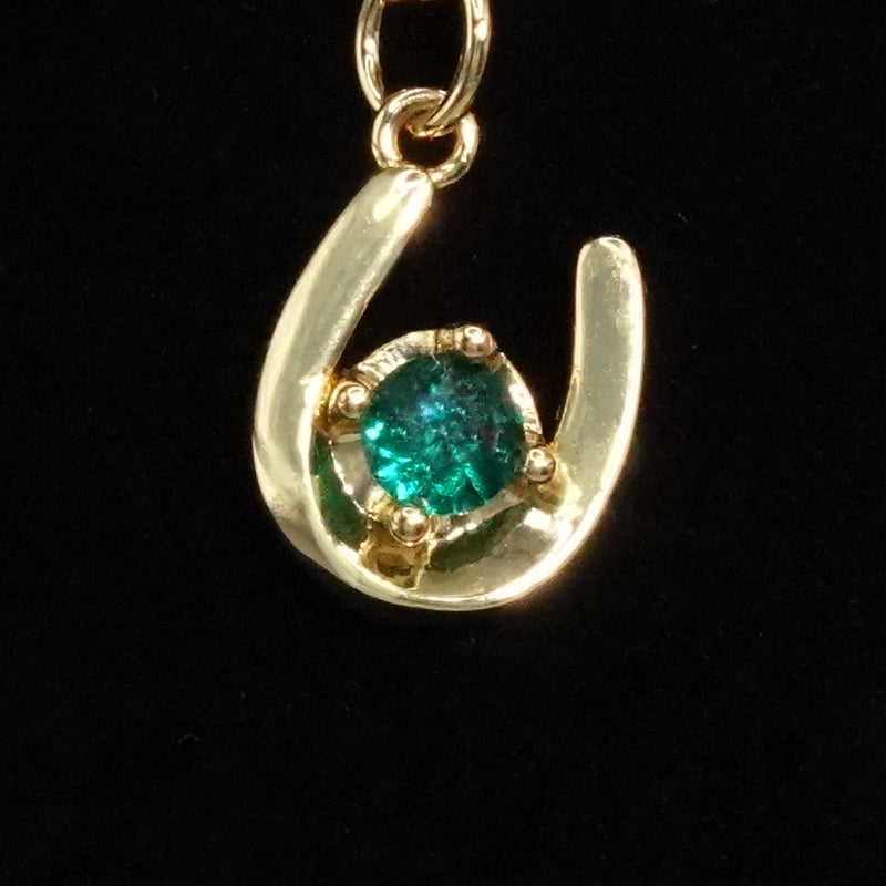 Horseshoe Necklace