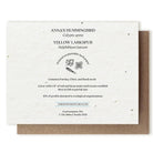 Hummingbird Plantable Herb Card, a biodegradable card embedded with herb seeds that sprouts into a lush herb garden when planted.