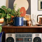 San Francisco Soy Candle in sustainable packaging, evoking the unique and invigorating scent of the city.