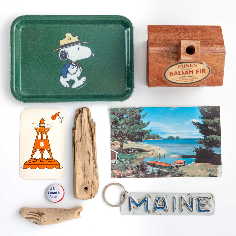 Peanuts® - Snoopy Beagle Scout Tray
