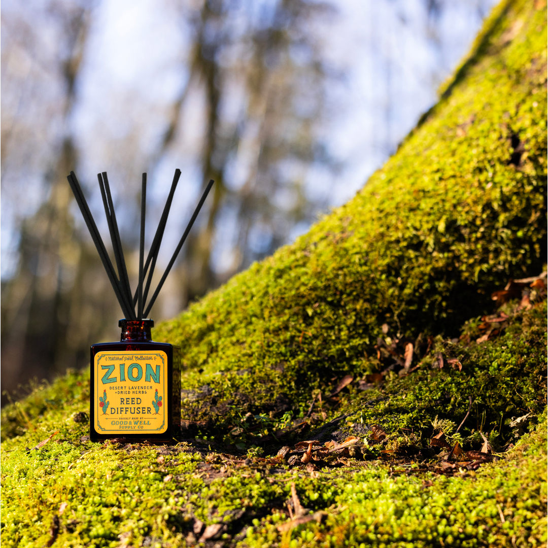 Zion reed diffuser with amber glass bottle and black reeds by Good & Well Supply Co., scented with desert lavender and herbs.