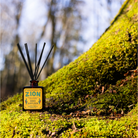 Zion reed diffuser with amber glass bottle and black reeds by Good & Well Supply Co., scented with desert lavender and herbs.