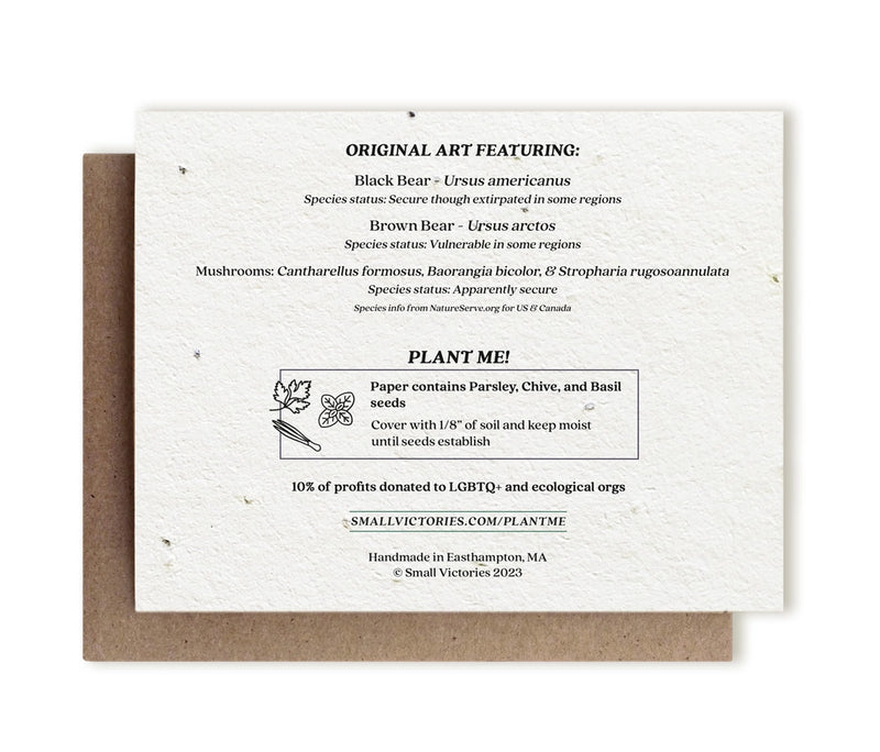 Enchanting Bears and Mushrooms illustrated card, embedded with herb seeds, ready for planting.