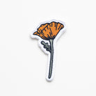 Blooming Poppy Patch