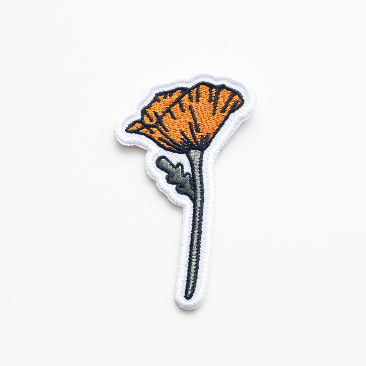 Blooming Poppy Patch