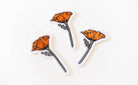 Blooming Poppy Patch