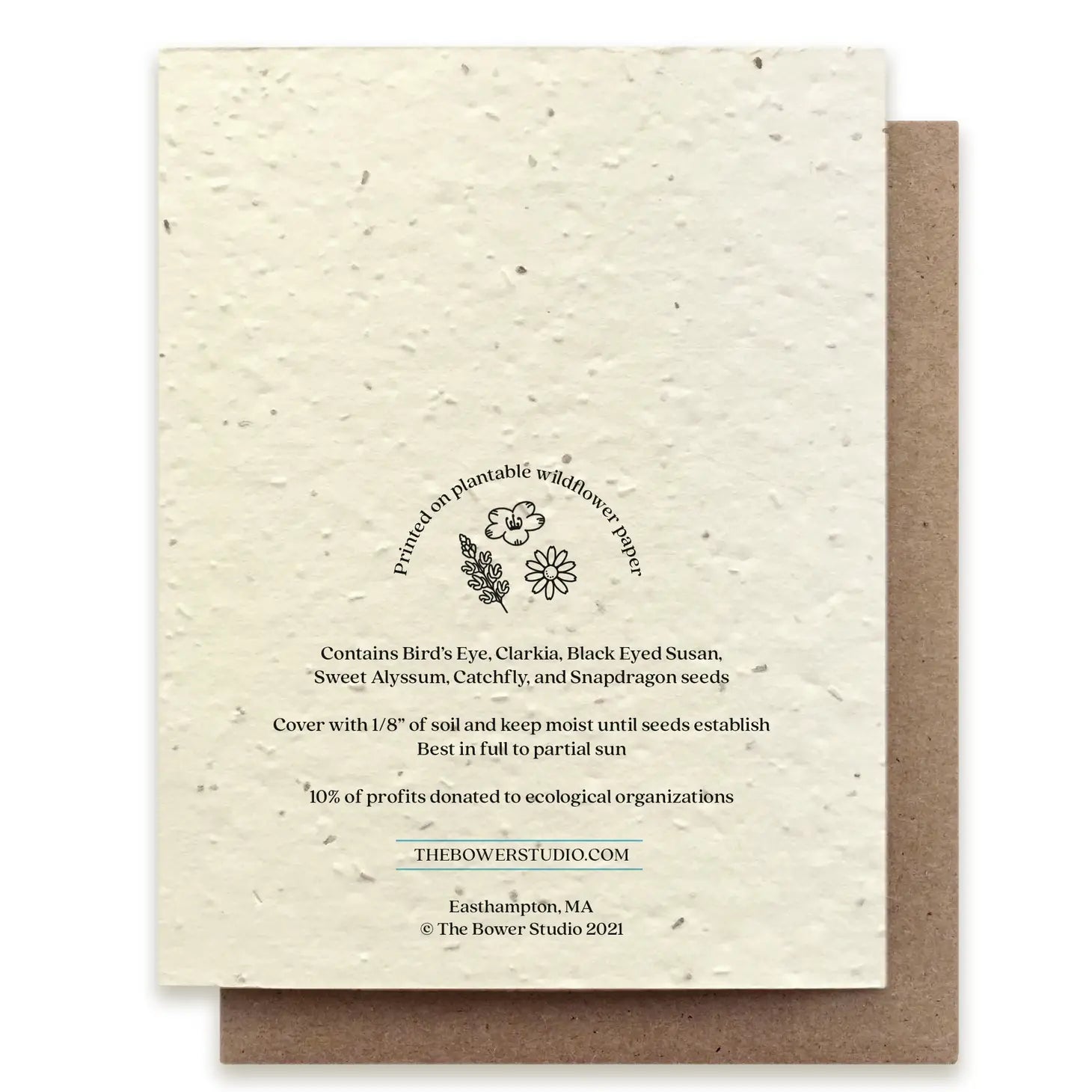 Echinacea Plantable Wildflower Seed Card, a biodegradable card infused with wildflower seeds that blossoms into a wildflower garden when planted.
