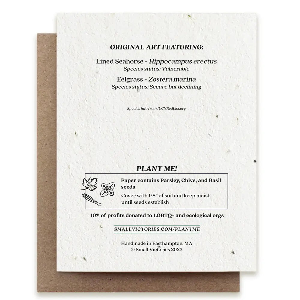 Seahorse Father card artfully illustrated, embedded with herb seeds, signifying the beauty of fatherhood and nature intertwined.