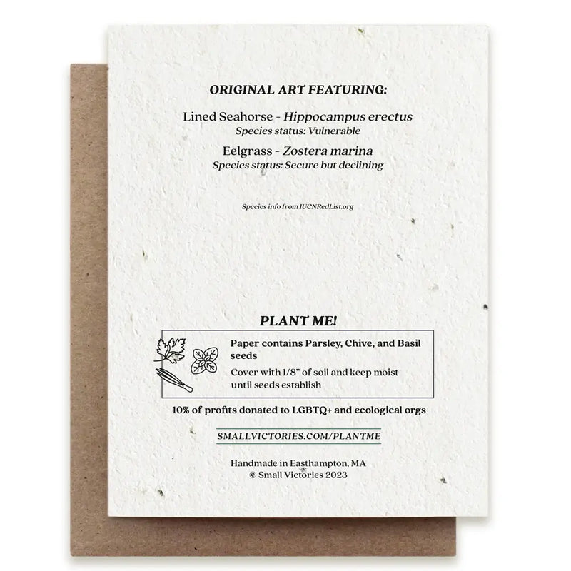 Seahorse Father card artfully illustrated, embedded with herb seeds, signifying the beauty of fatherhood and nature intertwined.