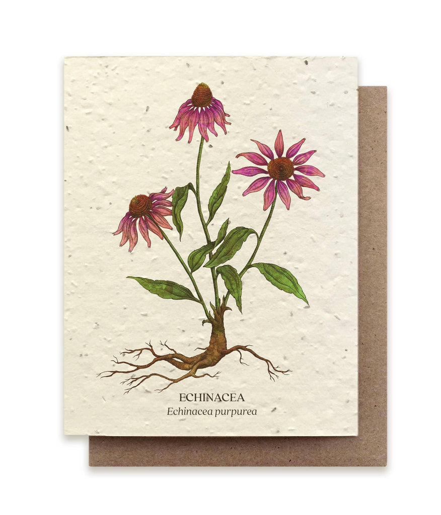 Echinacea Plantable Wildflower Seed Card, a biodegradable card infused with wildflower seeds that blossoms into a wildflower garden when planted.