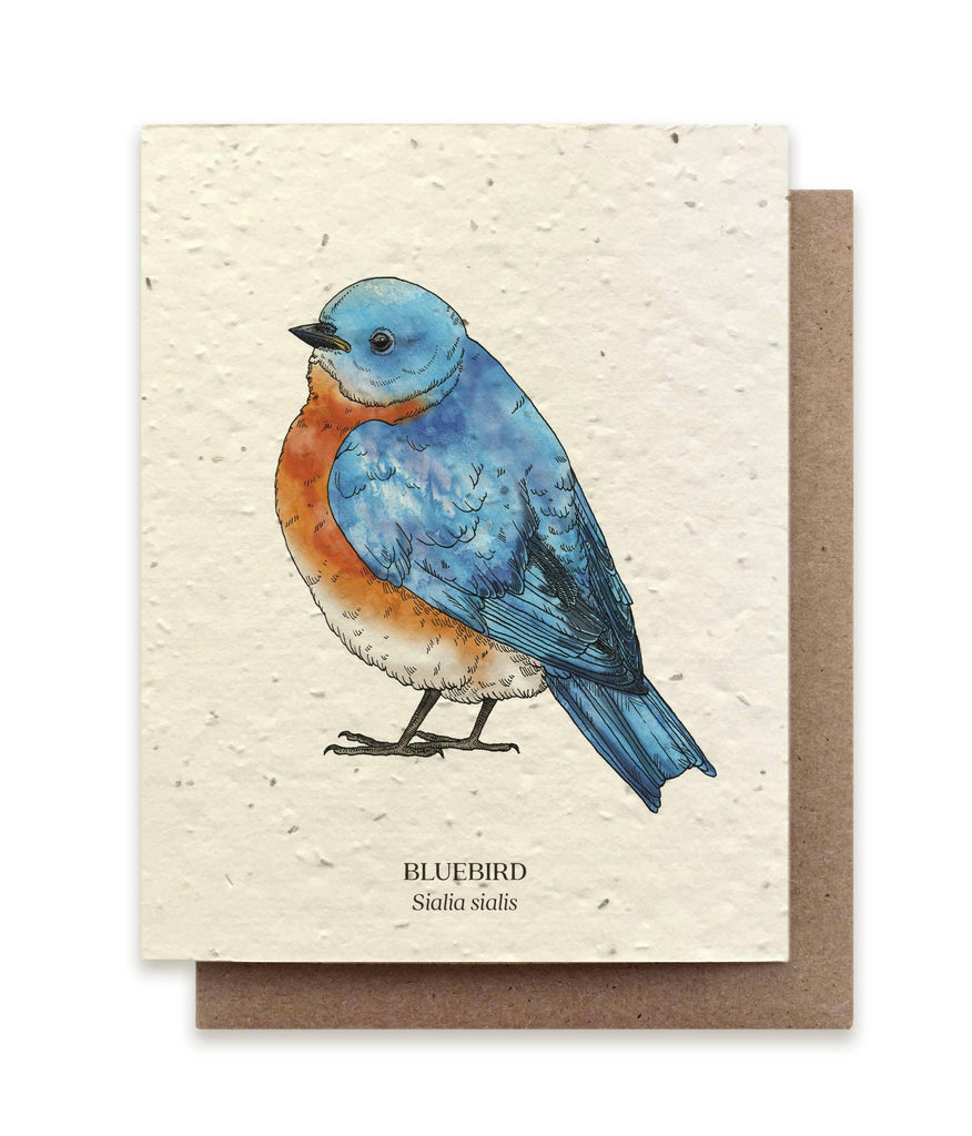 Bluebird Plantable Wildflower Seed Card, a biodegradable card embedded with wildflower seeds that bloom when planted.