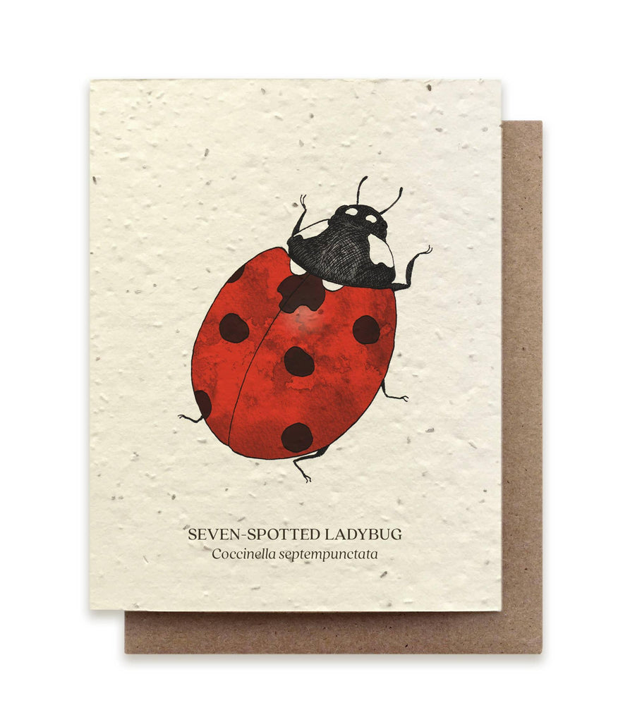 Ladybug Plantable Wildflower Seed Card, a biodegradable card infused with wildflower seeds, transforming into a vibrant wildflower garden when planted.