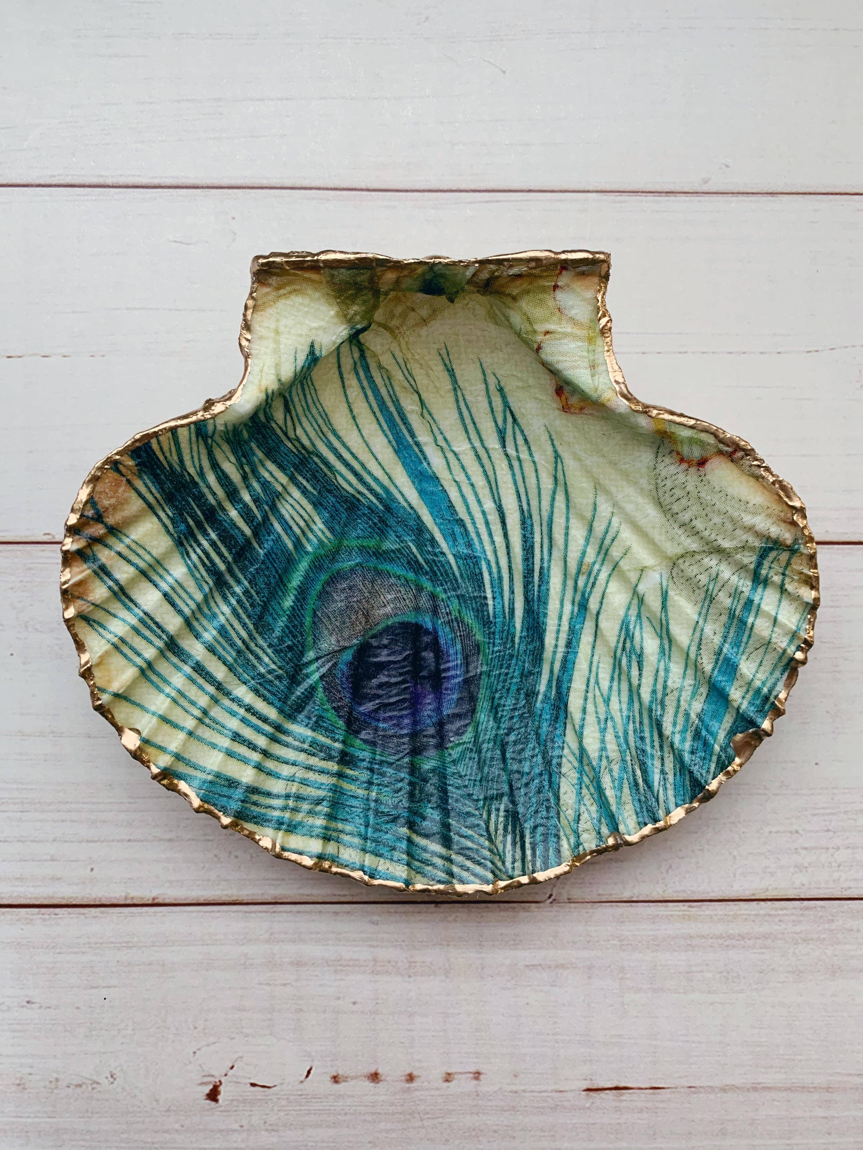 Peacock Shell Peacock Shell – FORMA LA