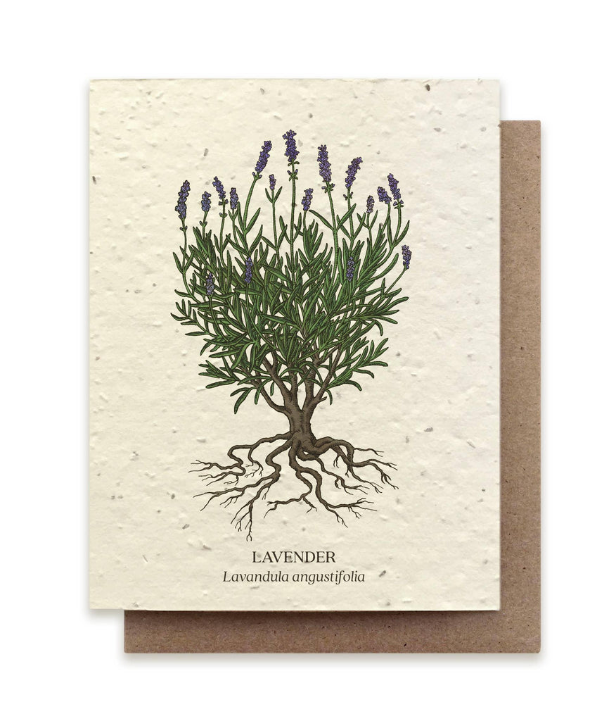 avender Plantable Wildflower Seed Card, a biodegradable card infused with wildflower seeds, blossoming into a garden of fragrant lavender when planted.