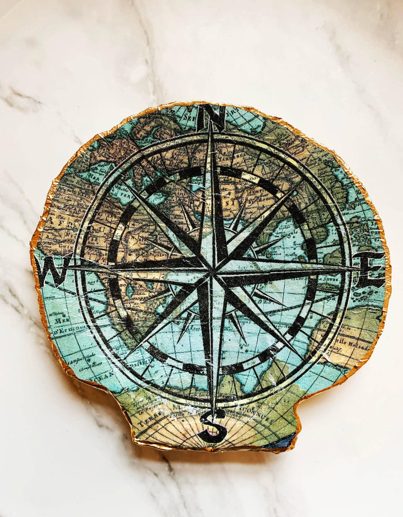 A compass shell, symbolizing direction and discovery.