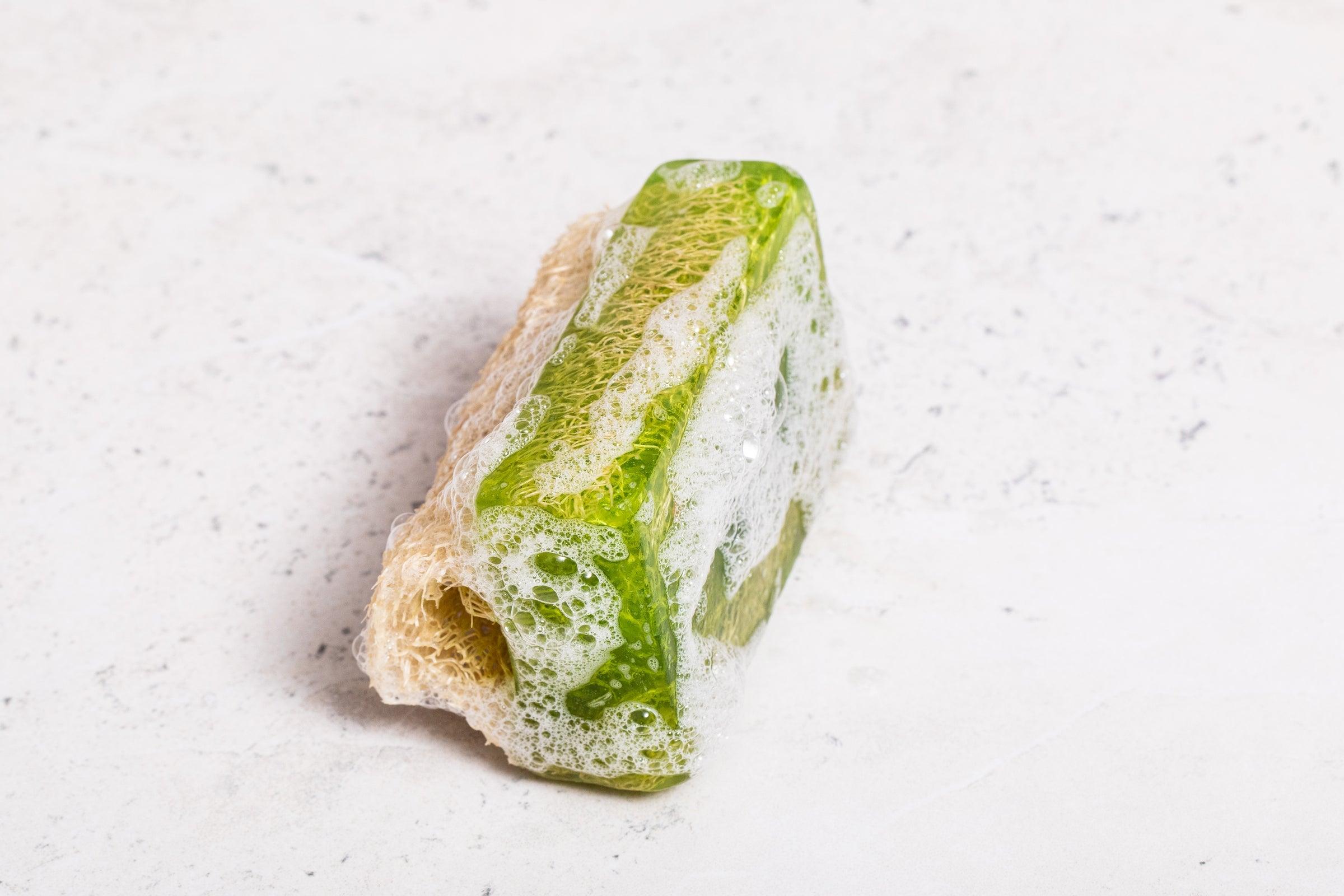 Lone Pine Peak Loofah Soap, capturing the rejuvenating scent of pine forests in an exfoliating soap bar.