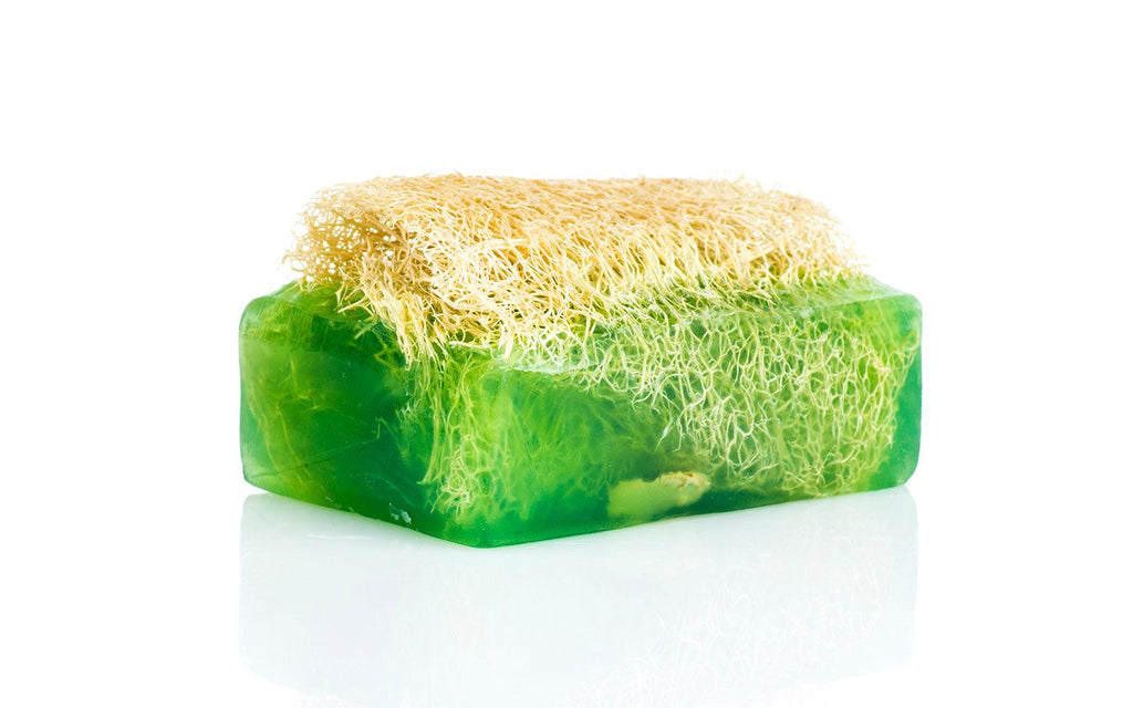 Lone Pine Peak Loofah Soap, capturing the rejuvenating scent of pine forests in an exfoliating soap bar.