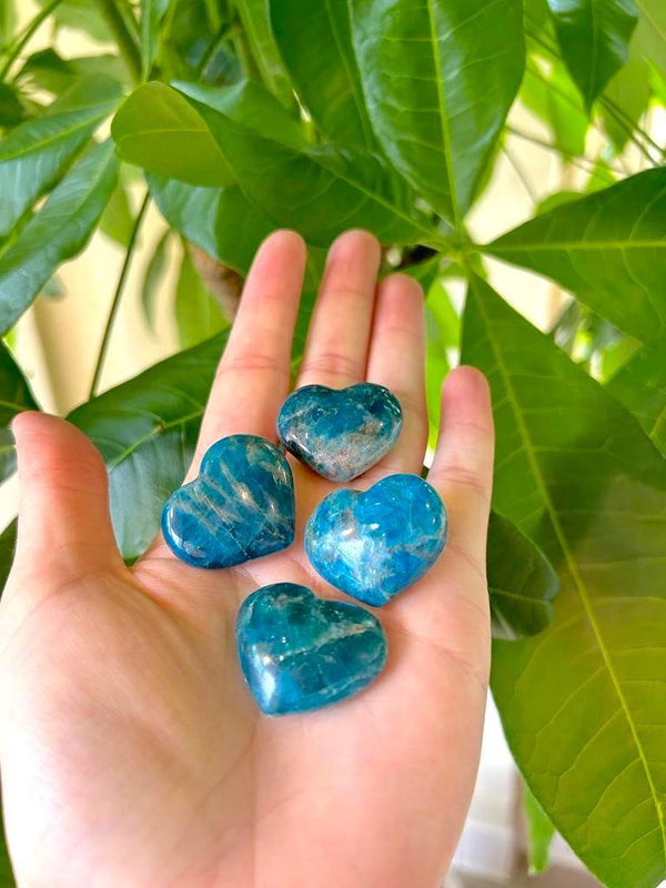 Apatite Heart